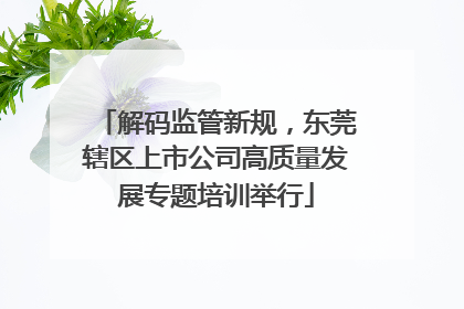 解码监管新规,东莞辖区上市公司高质量发展专题培训举行