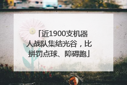 近1900支机器人战队集结光谷，比拼罚点球、障碍跑
