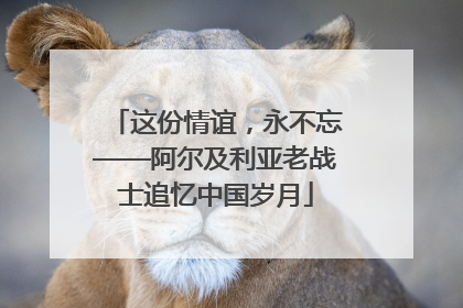 这份情谊，永不忘——阿尔及利亚老战士追忆中国岁月