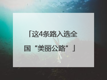 这4条路入选全国“美丽公路”