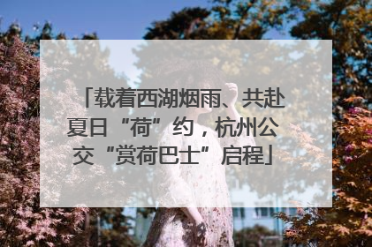 载着西湖烟雨、共赴夏日“荷”约，杭州公交“赏荷巴士”启程