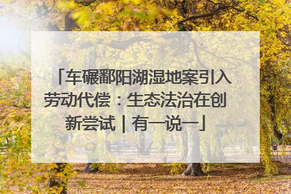 车碾鄱阳湖湿地案引入劳动代偿：生态法治在创新尝试｜有一说一