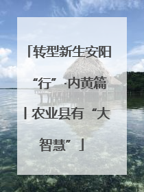 转型新生安阳“行”·内黄篇丨农业县有“大智慧”
