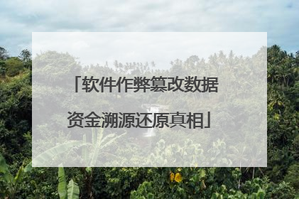 软件作弊篡改数据 资金溯源还原真相