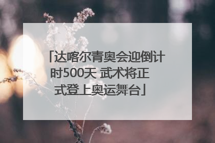 达喀尔青奥会迎倒计时500天 武术将正式登上奥运舞台