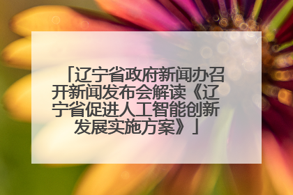辽宁省政府新闻办召开新闻发布会解读《辽宁省促进人工智能创新发展实施方案》