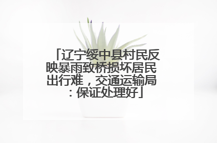 辽宁绥中县村民反映暴雨致桥损坏居民出行难，交通运输局：保证处理好