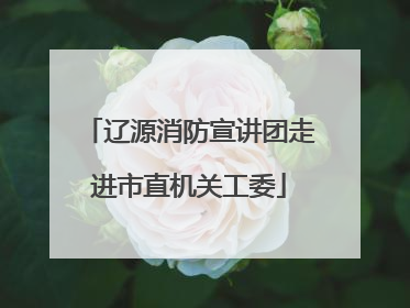 辽源消防宣讲团走进市直机关工委