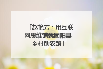 赵艳芳：用互联网思维铺就固阳县乡村助农路