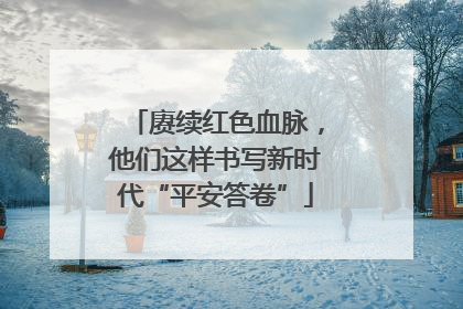 赓续红色血脉，他们这样书写新时代“平安答卷”