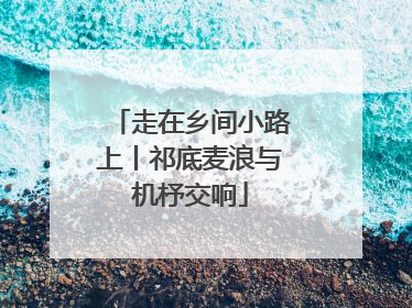 走在乡间小路上丨祁底麦浪与机杼交响
