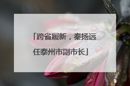 跨省履新，秦扬远任泰州市副市长