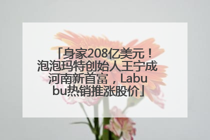 身家208亿美元！泡泡玛特创始人王宁成河南新首富，Labubu热销推涨股价