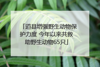 道县增强野生动物保护力度 今年以来共救助野生动物65只
