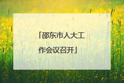 邵东市人大工作会议召开