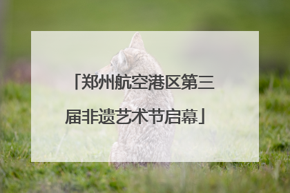 郑州航空港区第三届非遗艺术节启幕