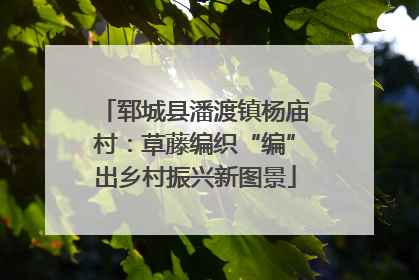 郓城县潘渡镇杨庙村：草藤编织“编”出乡村振兴新图景