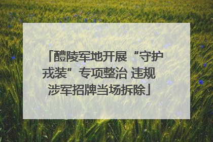 醴陵军地开展“守护戎装”专项整治 违规涉军招牌当场拆除