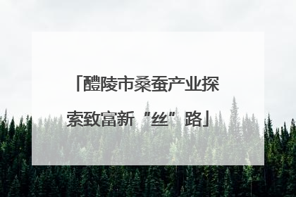 醴陵市桑蚕产业探索致富新“丝”路