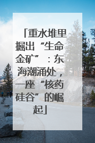 重水堆里掘出“生命金矿”：东海潮涌处，一座“核药硅谷”的崛起