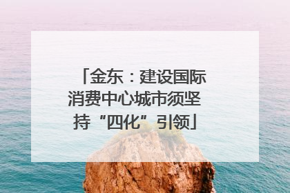 金东：建设国际消费中心城市须坚持“四化”引领