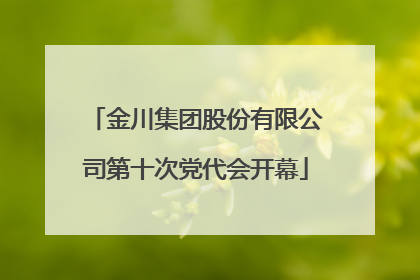 金川集团股份有限公司第十次党代会开幕