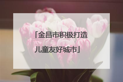 金昌市积极打造儿童友好城市