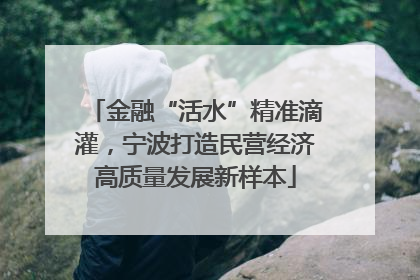 金融“活水”精准滴灌，宁波打造民营经济高质量发展新样本