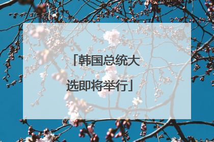 韩国总统大选即将举行
