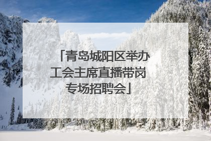 青岛城阳区举办工会主席直播带岗专场招聘会