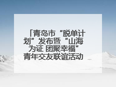 青岛市“脱单计划”发布暨“山海为证 团聚幸福”青年交友联谊活动浪漫开启