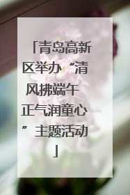 青岛高新区举办“清风拂端午 正气润童心”主题活动