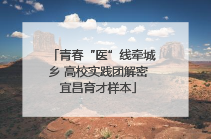青春“医”线牵城乡 高校实践团解密宜昌育才样本
