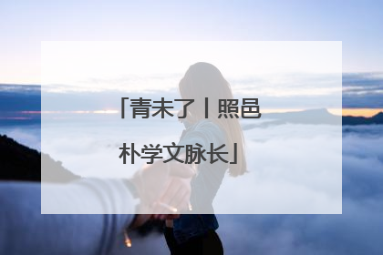 青未了丨照邑朴学文脉长