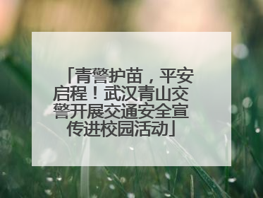 青警护苗，平安启程！武汉青山交警开展交通安全宣传进校园活动
