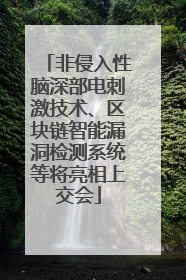 非侵入性脑深部电刺激技术、区块链智能漏洞检测系统等将亮相上交会