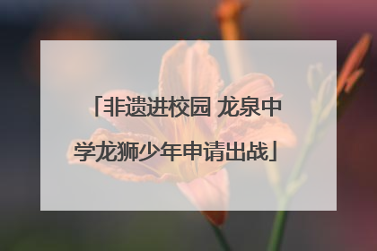 非遗进校园 龙泉中学龙狮少年申请出战