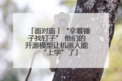 面对面丨“拿着锤子找钉子” 他们的开源模型让机器人能“上学”了