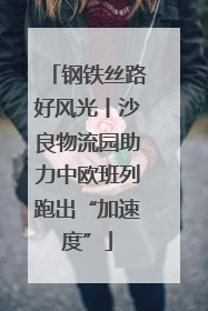 钢铁丝路好风光丨沙良物流园助力中欧班列跑出“加速度”