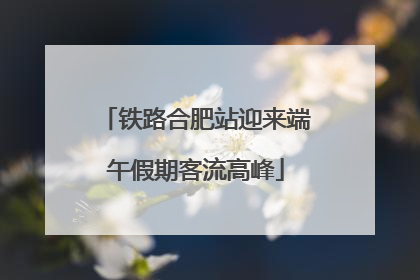 铁路合肥站迎来端午假期客流高峰