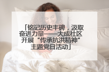 铭记历史丰碑，汲取奋进力量——大成社区开展“传承抗洪精神”主题党日活动