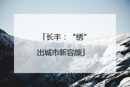 长丰：“绣”出城市新容颜