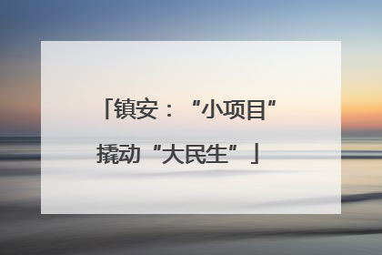 镇安：“小项目”撬动“大民生”
