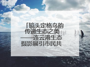 镜头定格鸟韵 传递生态之美——连云港生态摄影展引市民共赏自然之魅