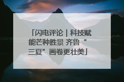 闪电评论｜科技赋能芒种胜景 齐鲁“三夏”画卷更壮美