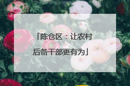陈仓区：让农村后备干部更有为