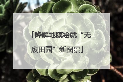 降解地膜绘就“无废田园”新图景