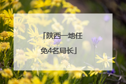 陕西一地任免4名局长