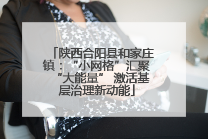 陕西合阳县和家庄镇：“小网格”汇聚“大能量” 激活基层治理新动能