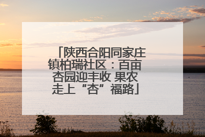 陕西合阳同家庄镇柏瑞社区：百亩杏园迎丰收 果农走上“杏”福路